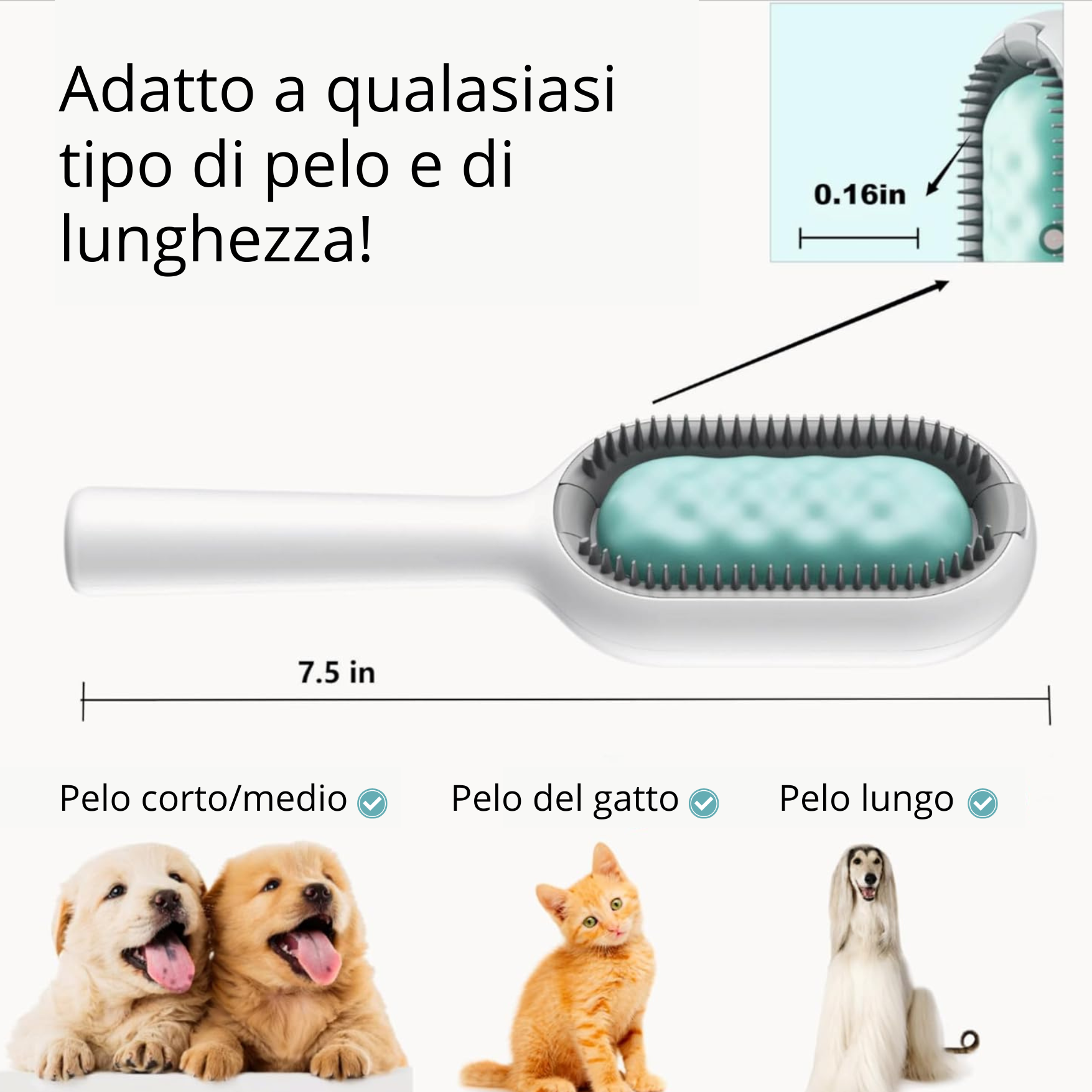 Petter Spazzola per Toelettatura - 3 in 1