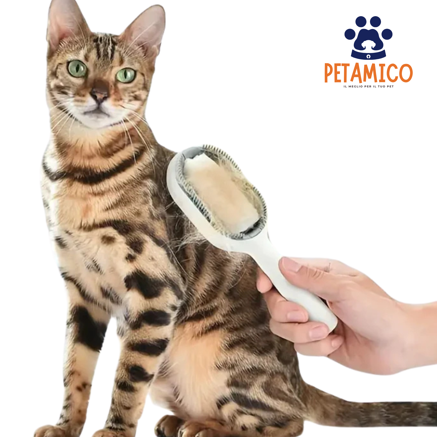 Petter Spazzola per Toelettatura - 3 in 1