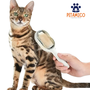 Petter Spazzola per Toelettatura - 3 in 1